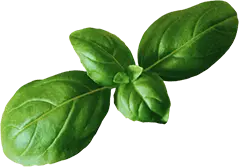 Union Food Mart and Pizzaria