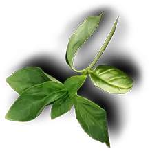 Union Food Mart and Pizzaria